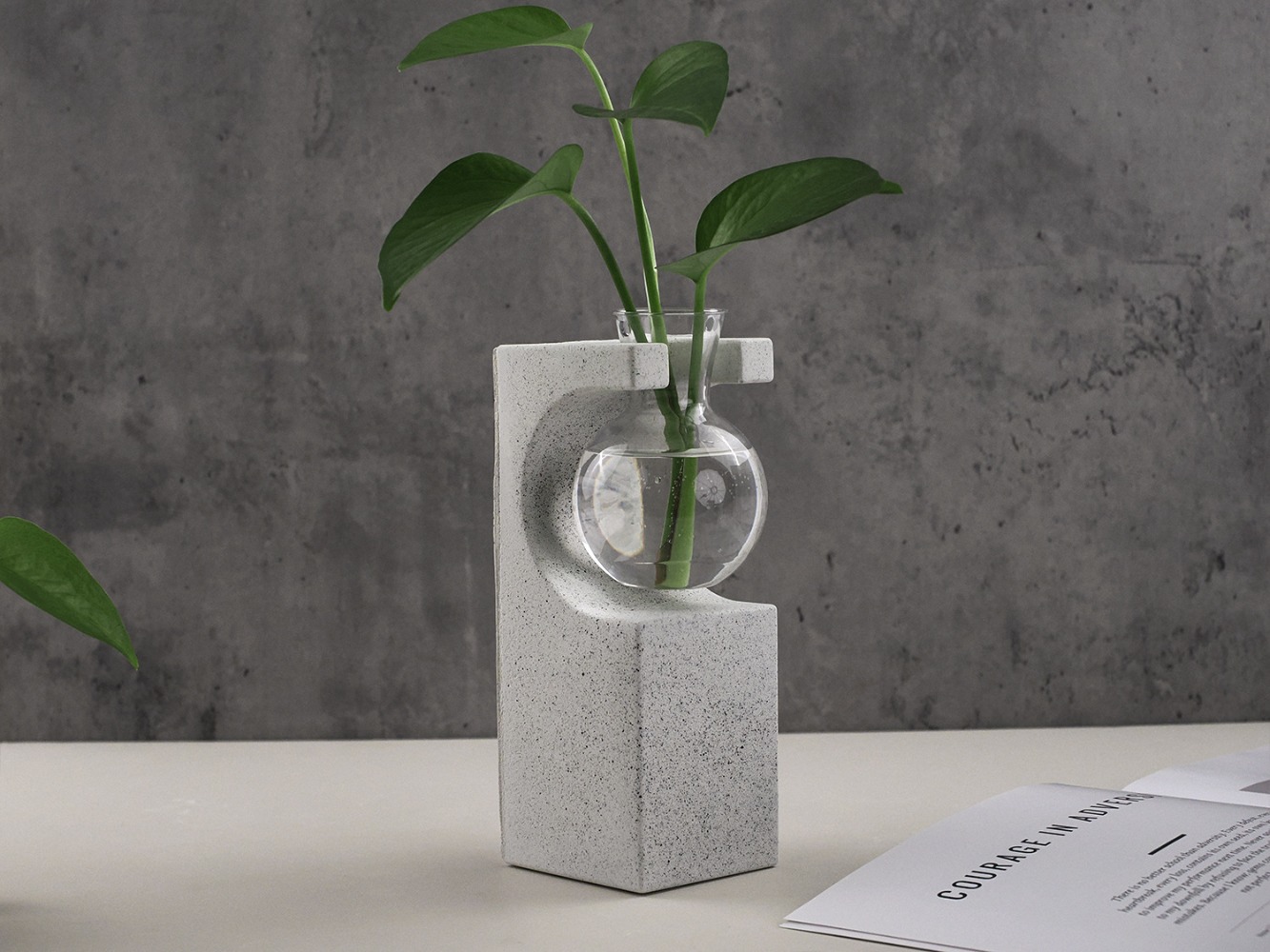 DIY Hydroponic Vase Silicone M - Potsticker Mold recensie en prijs