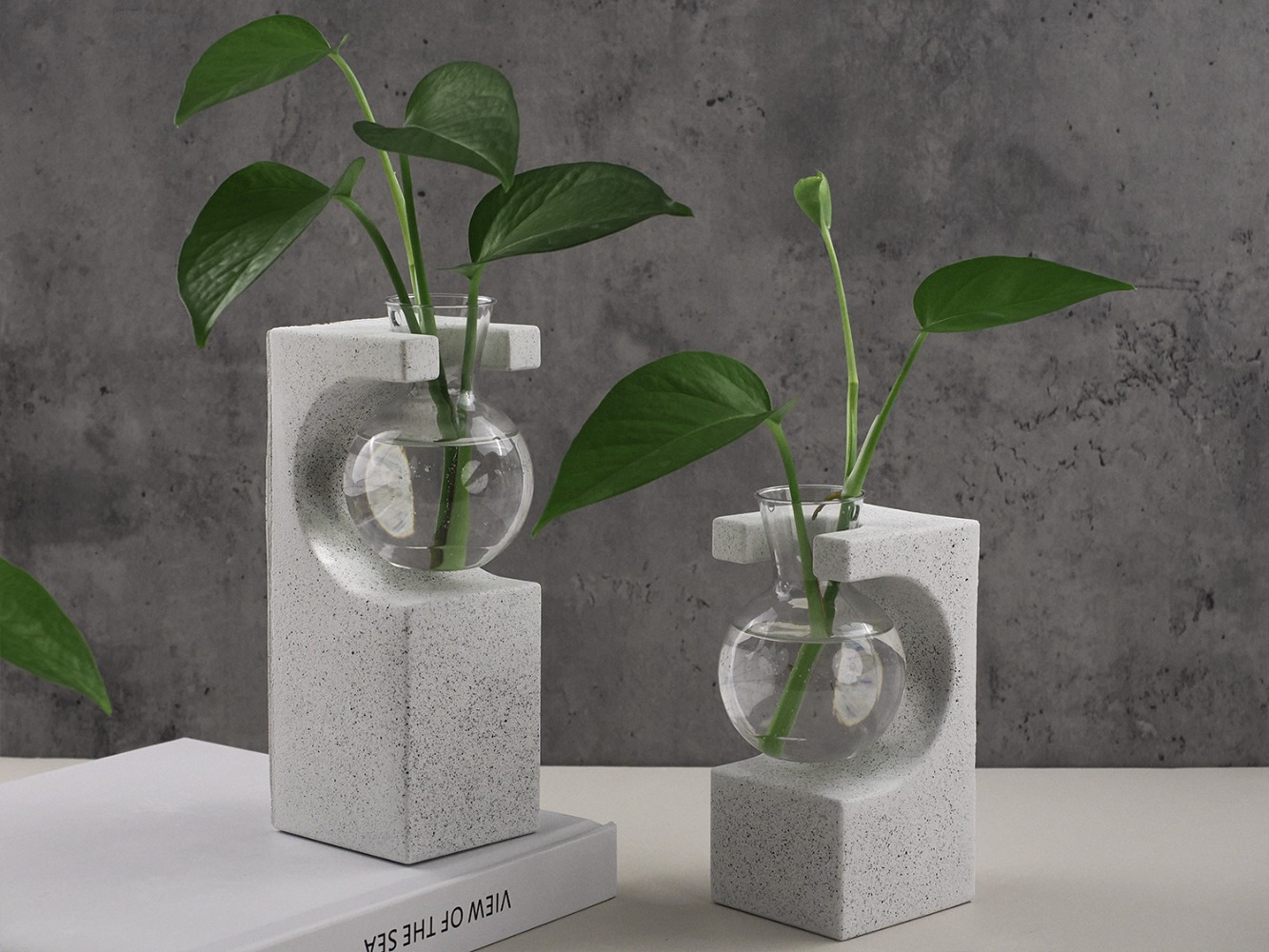 DIY Hydroponic Vase Silicone M - Potsticker Mold recensie en prijs