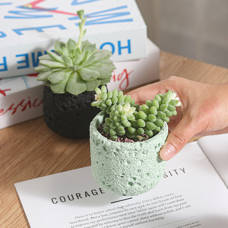 Creative Round Concrete Flower - Potsticker Mold recensie en prijs