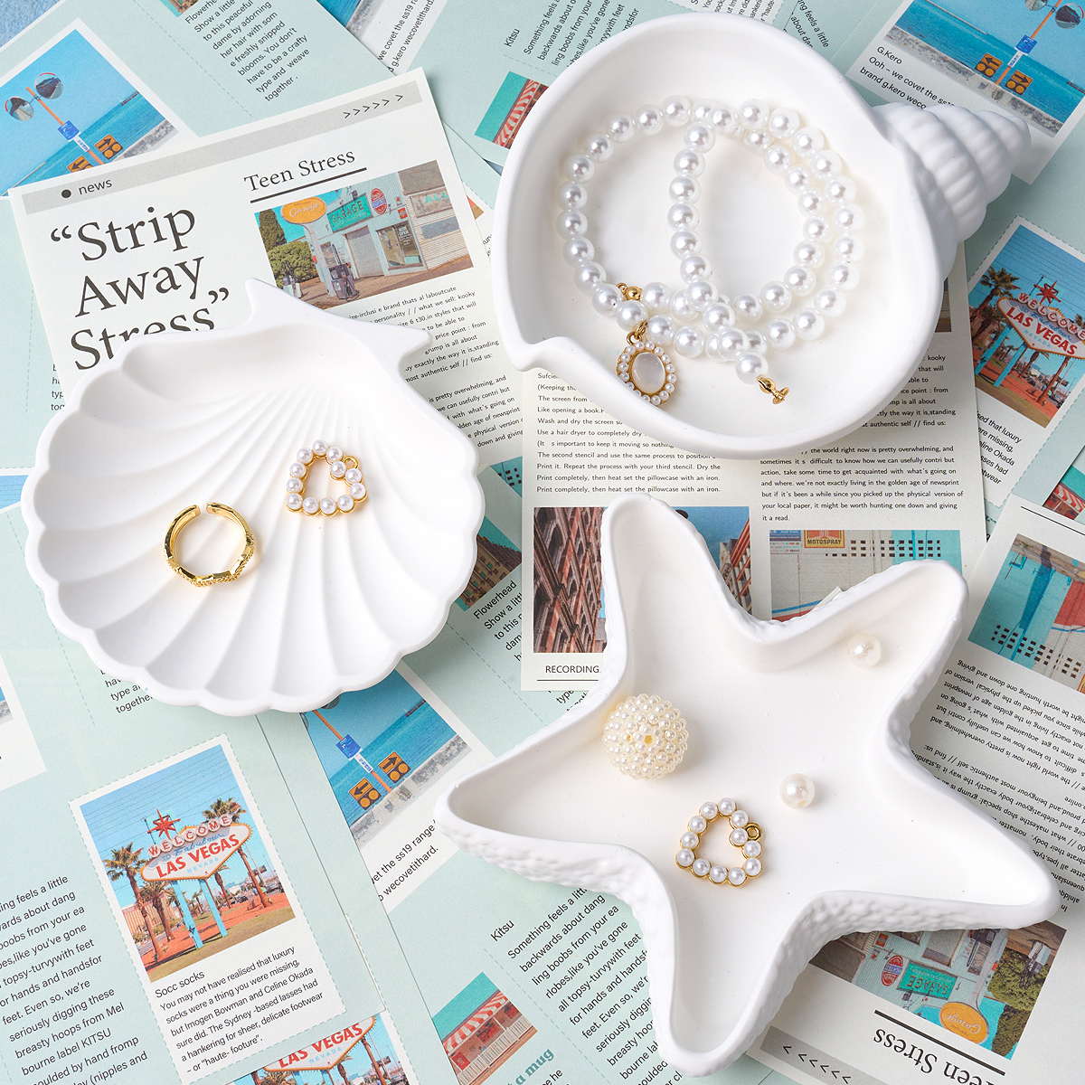 DIY Concrete Starfish Starage  - Potsticker Mold recensie en prijs