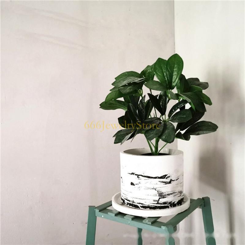 F2TD Large Round Concrete Flow - Potsticker Mold recensie en prijs