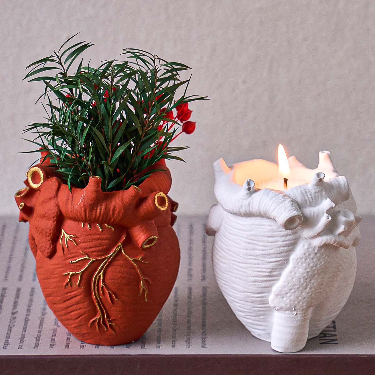 Simulation Heart Vase Silicone - Potsticker Mold recensie en prijs